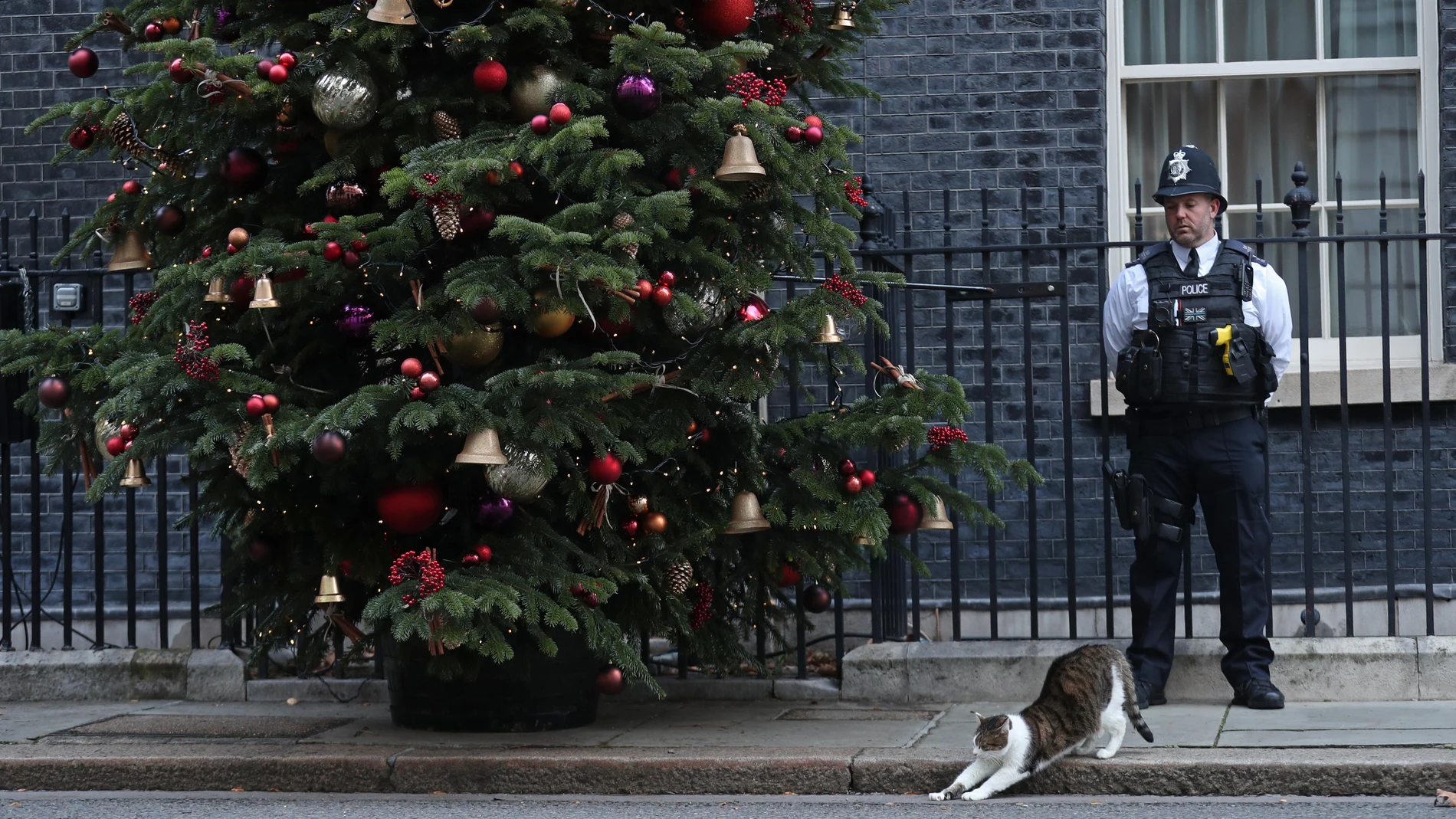 El gato Larry se estira ante el policía que hace guardia en la puerta del Número 10 este pasado 5 de diciembre