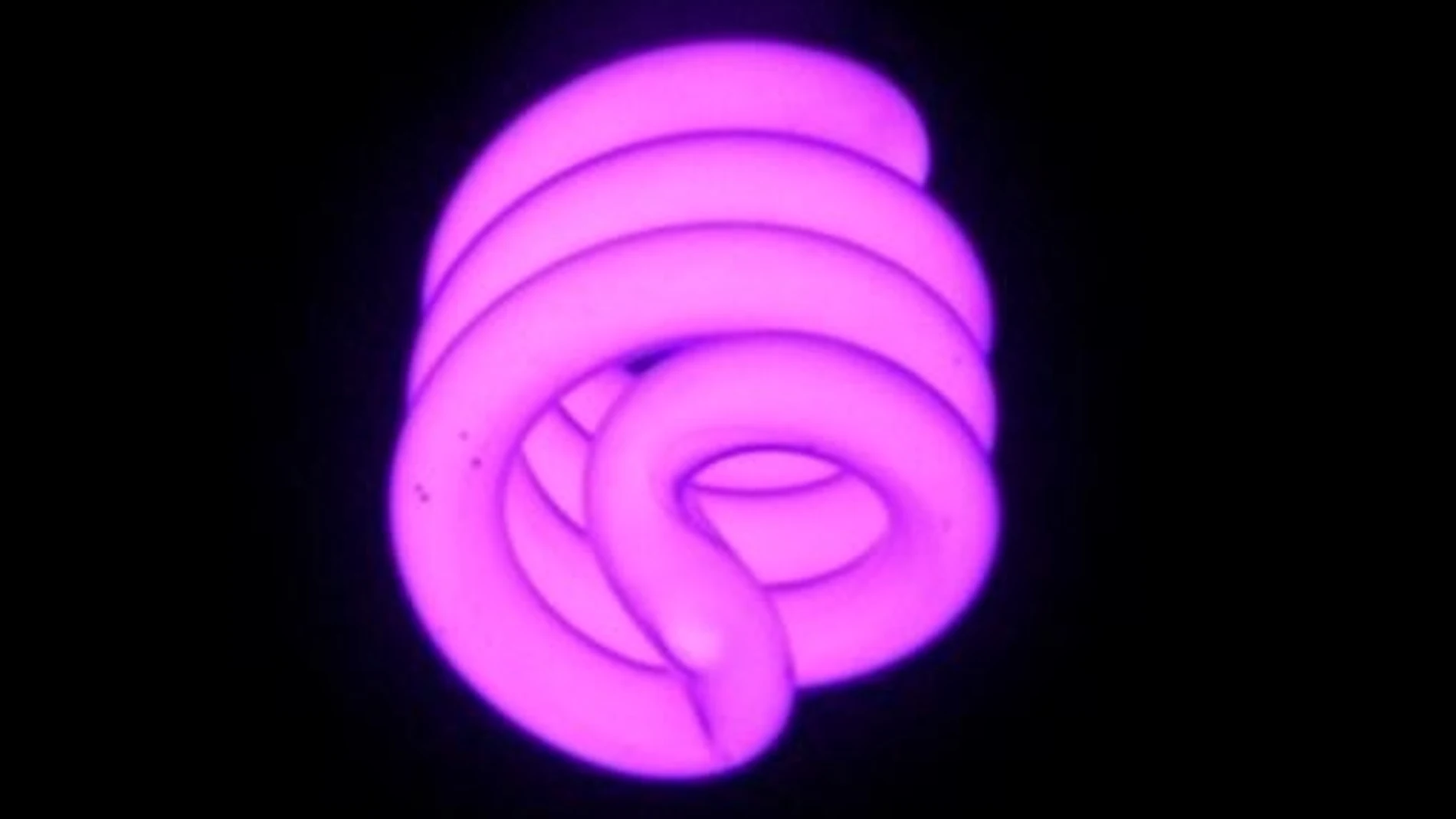 Lámpara fluorescente de luz ultravioletaCC BY 2.5 (Foto de ARCHIVO)26/4/2019