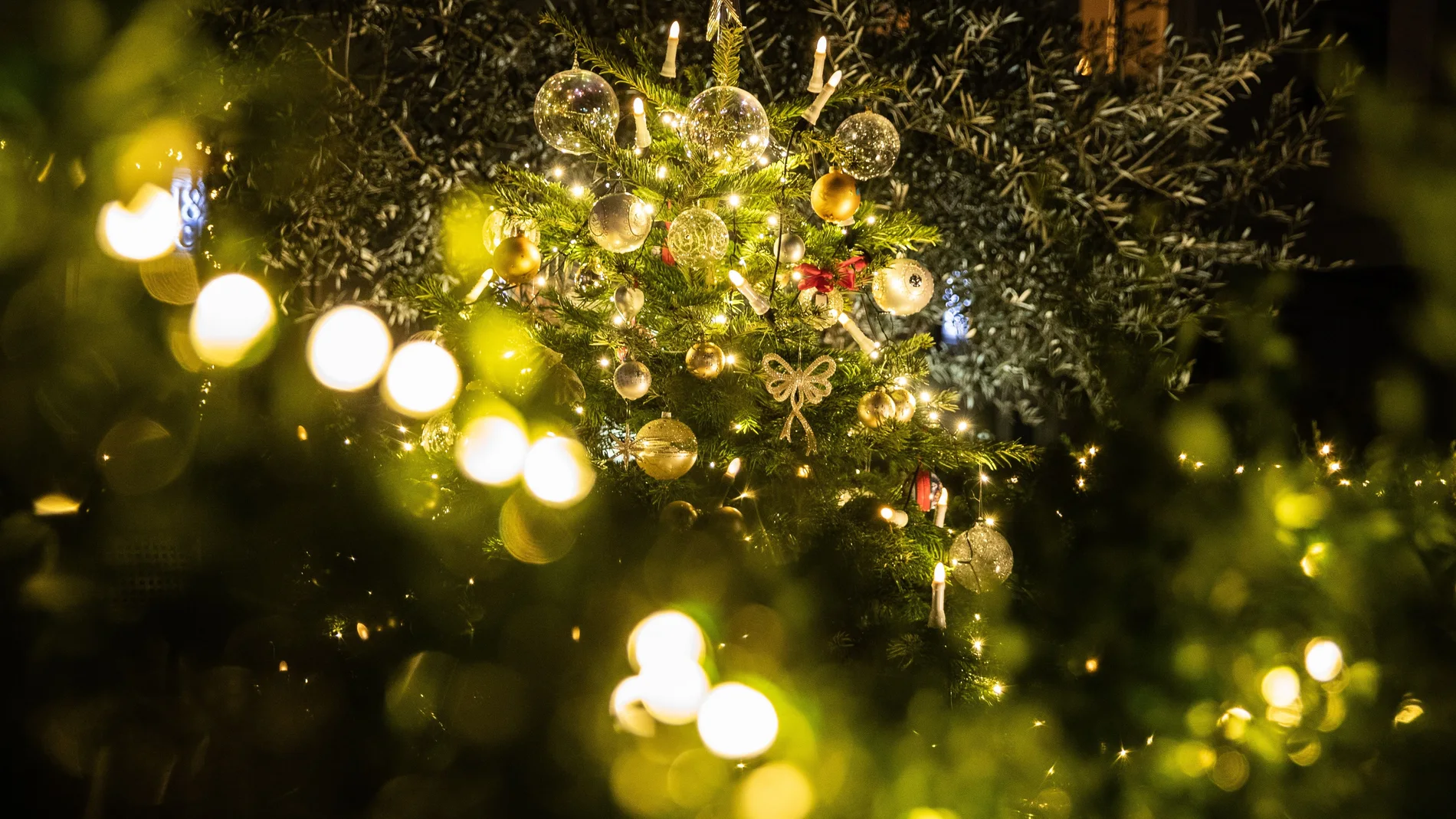 Un árbol está decorado con adornos navideños y luces