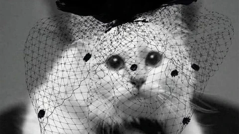 Choupette de Karl Lagerfeld