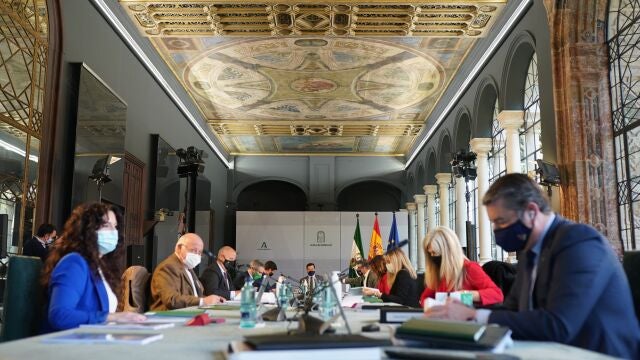 Reunión del Consejo de Gobierno andaluz