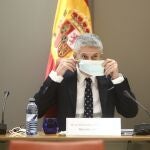 El ministro de Interior, Fernando Grande-Marlaska