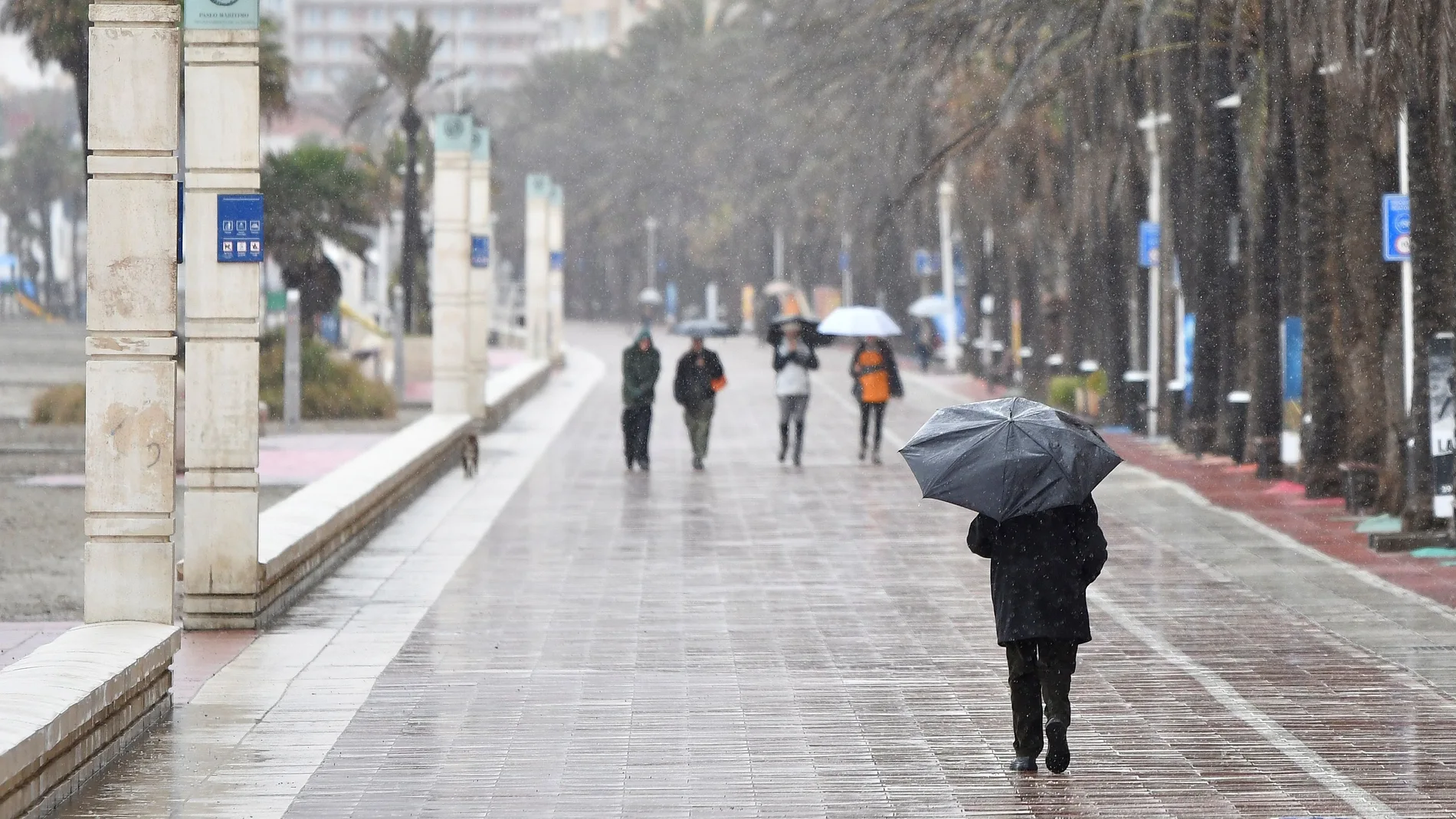 Un hombre con un paraguas se protege de la lluvia mientras pasea por el paseo marítimo de Almería.