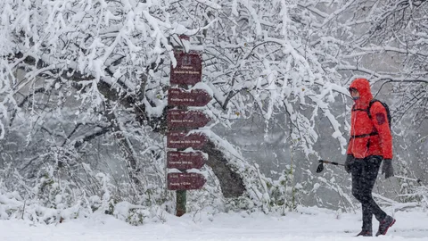 La nieve que deja a su paso la borrasca Filomena ya ha cuajado en Zaragoza, en cuyas calles y aceras empieza a haber acumulaciones tras las precipitaciones de la madrugada que han causado problemas a algunas líneas de autobús. En la imagen, una persona pasea por la ribera del Ebro.