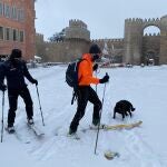 Temporal de nieve en Ávila
