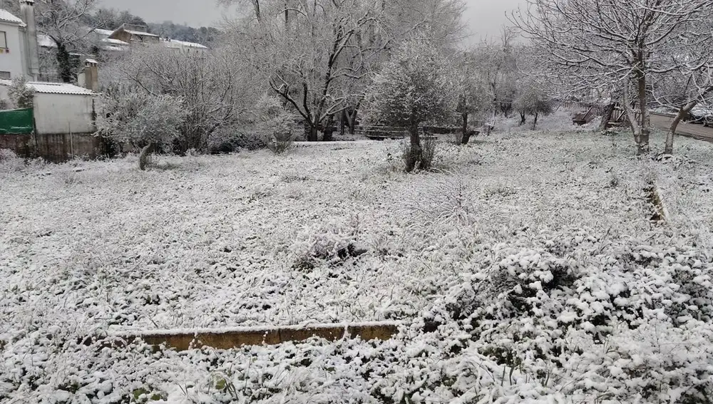 La nieve cubre una zona de Los Marines, en Huelva