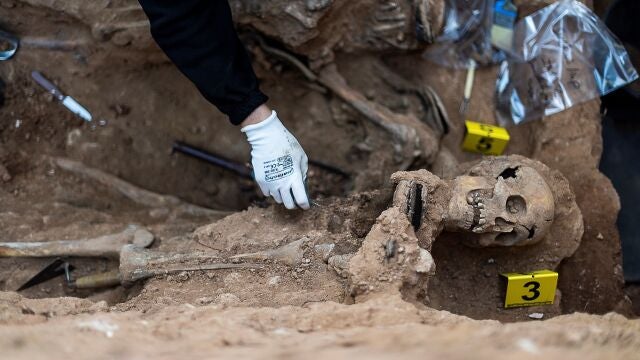 Trabajos de exhumación en la fosa del cementerio civil del cementerio de Guadalajara, el pasado mes de octubre