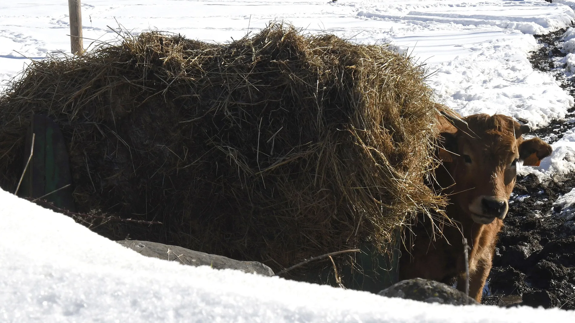 Sosas de Laciana (León) , zona afectada por el temporal de nieve y frío