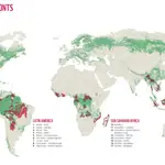 WWF alerta de que el mundo ha perdido a causa de la deforestación 43 millones de hectáreas en los últimos 13 años, el equivalente a la superficie de California (Estados Unidos).