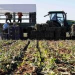 El PP propone una doble tarificación eléctrica para los agricultores