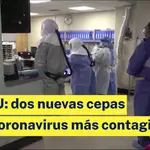 Estados Unidos: dos nuevas cepas del coronavirus aún más contagiosas
