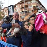 Animales esperando su bendición a las puertas de la Ermita de San Antón en Murcia