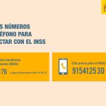 Los nuevos números de teléfono de la Seguridad Social