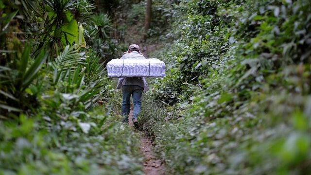 Marvin Roque carries the coffin of his late niece Yesmin Anayeli, a two-year-old girl who died of pneumonia related to severe malnutrition, towards a hilltop for her burial in La Palmilla, Guatemala January 12, 2021. Picture taken January 12, 2021. REUTERS/Josue Decavele