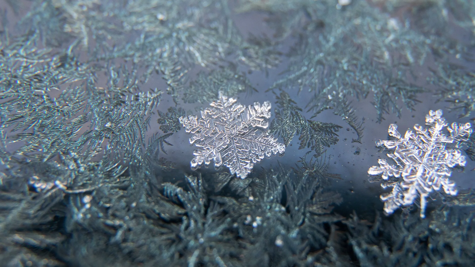 Los cristales de hielo es sólo una de las formas de hielo que podemos encontrar. EFE/ Balazs Mohai