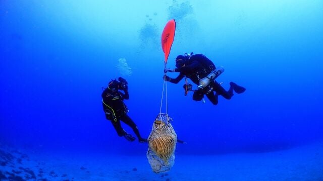 Arqueólogos griegos rescatan un ánfora y otras cerámicas de un pecio de la era romana el pasado mes de enero de 2021