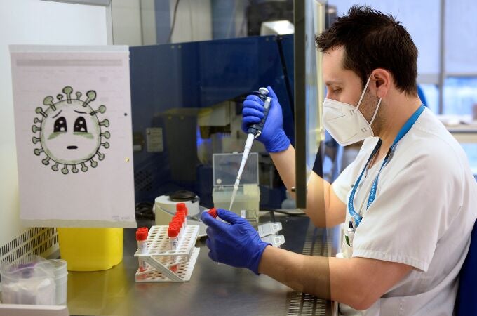 Un técnico de laboratorio del Hospital Pío del Rio Hortega de Valladolid, analiza pruebas PCR