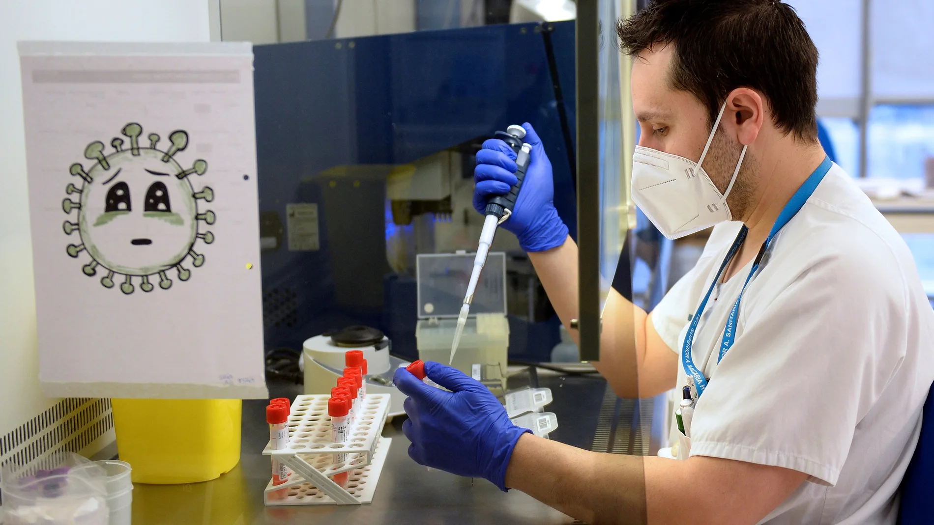 Un técnico de laboratorio del Hospital Pío del Rio Hortega de Valladolid, analiza pruebas PCR