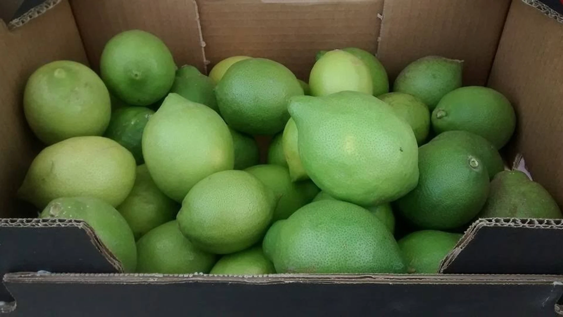 Limones de Murcia