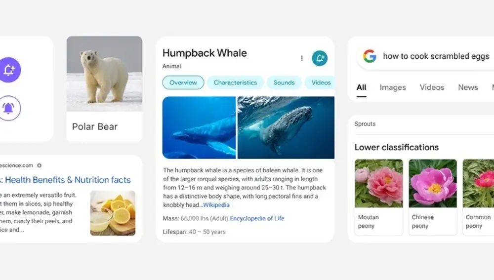 Rediseño del buscador para móvilesGOOGLE25/01/2021