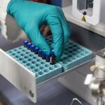 La cepa británica fue identificada a mediados de diciembre de 2020 en el Reino Unido