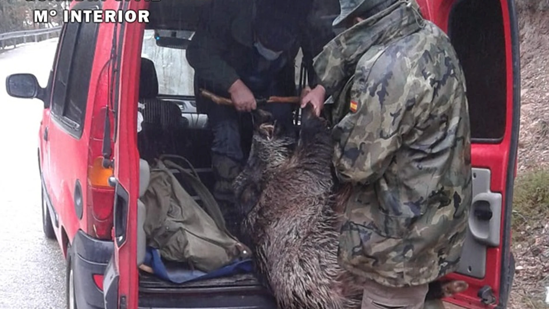 Dos cazadores furtivos investigados por abatir a un jabalí sin autorización en Burgos