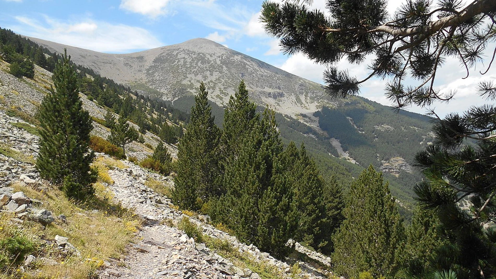 Parque natural de Moncayo