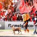 Scooby, jaleado por los aficionados de Melgar en el Estadio Monumental de la UNSA.