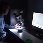 El investigador de la UPCT Javier Prior observando con una lupa de microscopio el diamante que utiliza para mejorar la resolución de las resonancias magnéticas