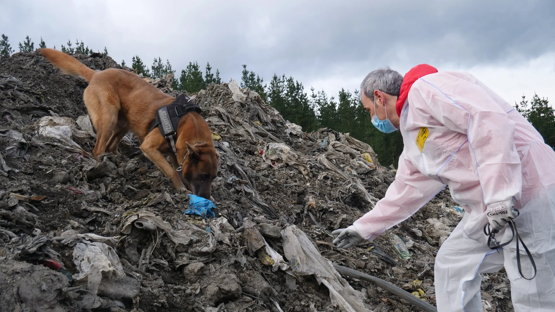La unidad canina de la Ertzaintza busca los restos de Joaquín Beltrán en el vertedero de Zaldibar