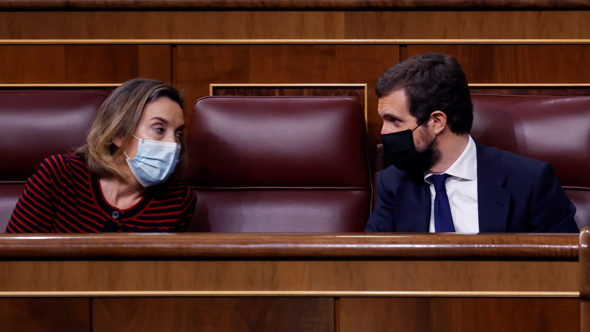 El líder del Partido Popular, Pablo Casado, conversa con la portavoz popular en el Congreso, Cuca Gamarra, durante la sesión de control al Gobierno