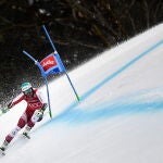 Vincent Kriechmayr de Austria en acción durante la carrera masculina de súper G de la Copa del Mundo de Esquí Alpino en Garmisch-Partenkirchen, Alemania, 06 de febrero de 2021. (Alemania) EFE/EPA/PHILIPP GUELLAND