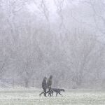 Dos personas caminan junto a su perro durante una tormenta.