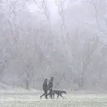 Dos personas caminan junto a su perro durante una tormenta.