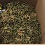 Marihuana incautada por la Guardia CivilGUARDIA CIVIL08/02/2021