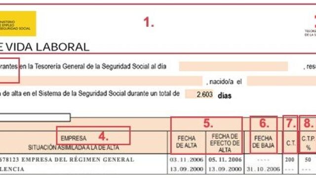 Informe de vida laboral