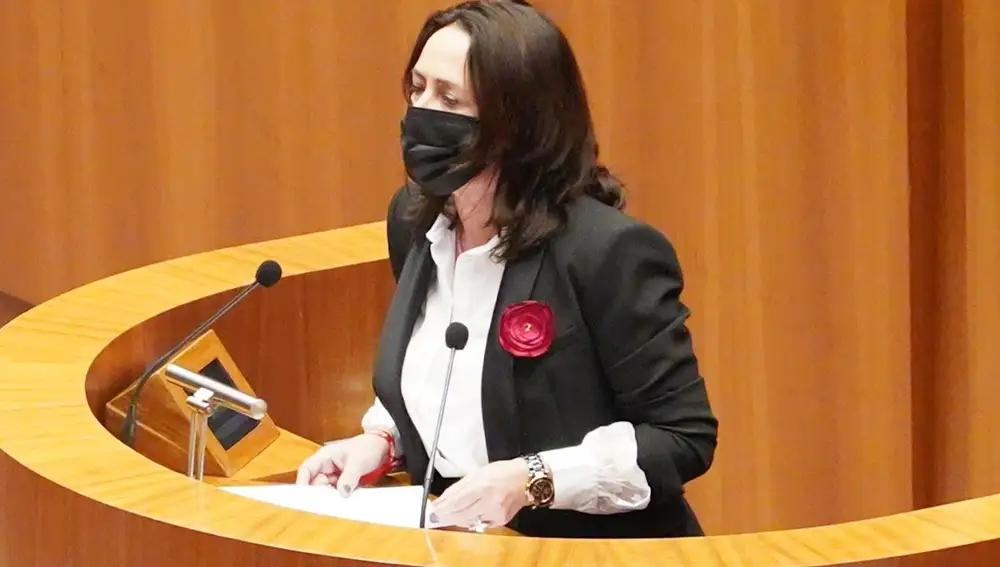 La procuradora socialista Rosa María Rubio