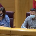 La agrupación Jóvenes de Castilla y León ha comparecido hoy en la Comisión de Despoblación y Reto Demográfico del Senado para exponer la situación que viven los jóvenes ante la falta de oportunidades. En La imagen, María José Pérez y Juan José Álvarez