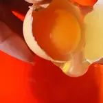 Imagen de la cáscara de un huevo rompiéndose