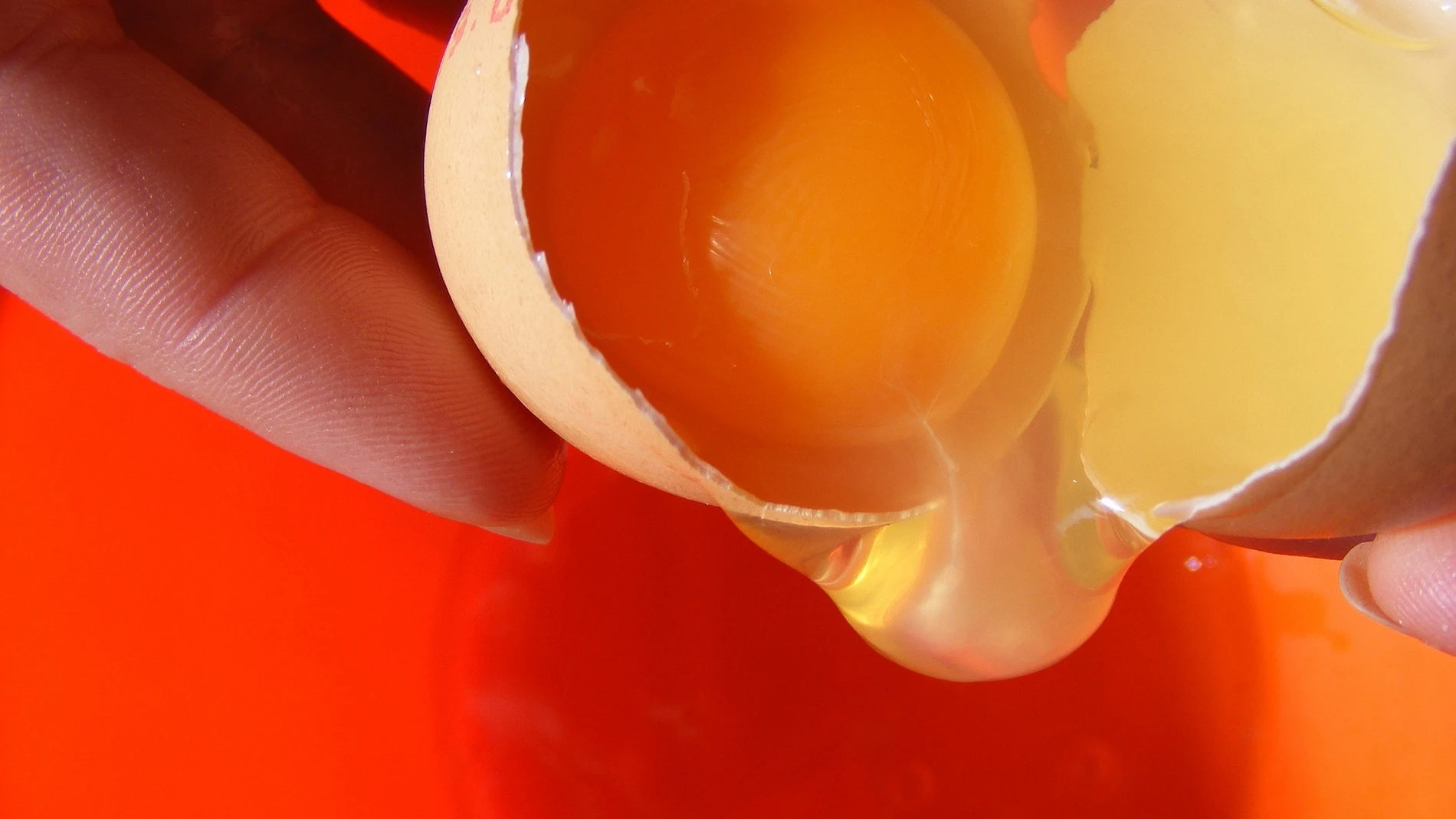 Imagen de la cáscara de un huevo rompiéndose