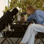 Zara lanza una colección para perros.