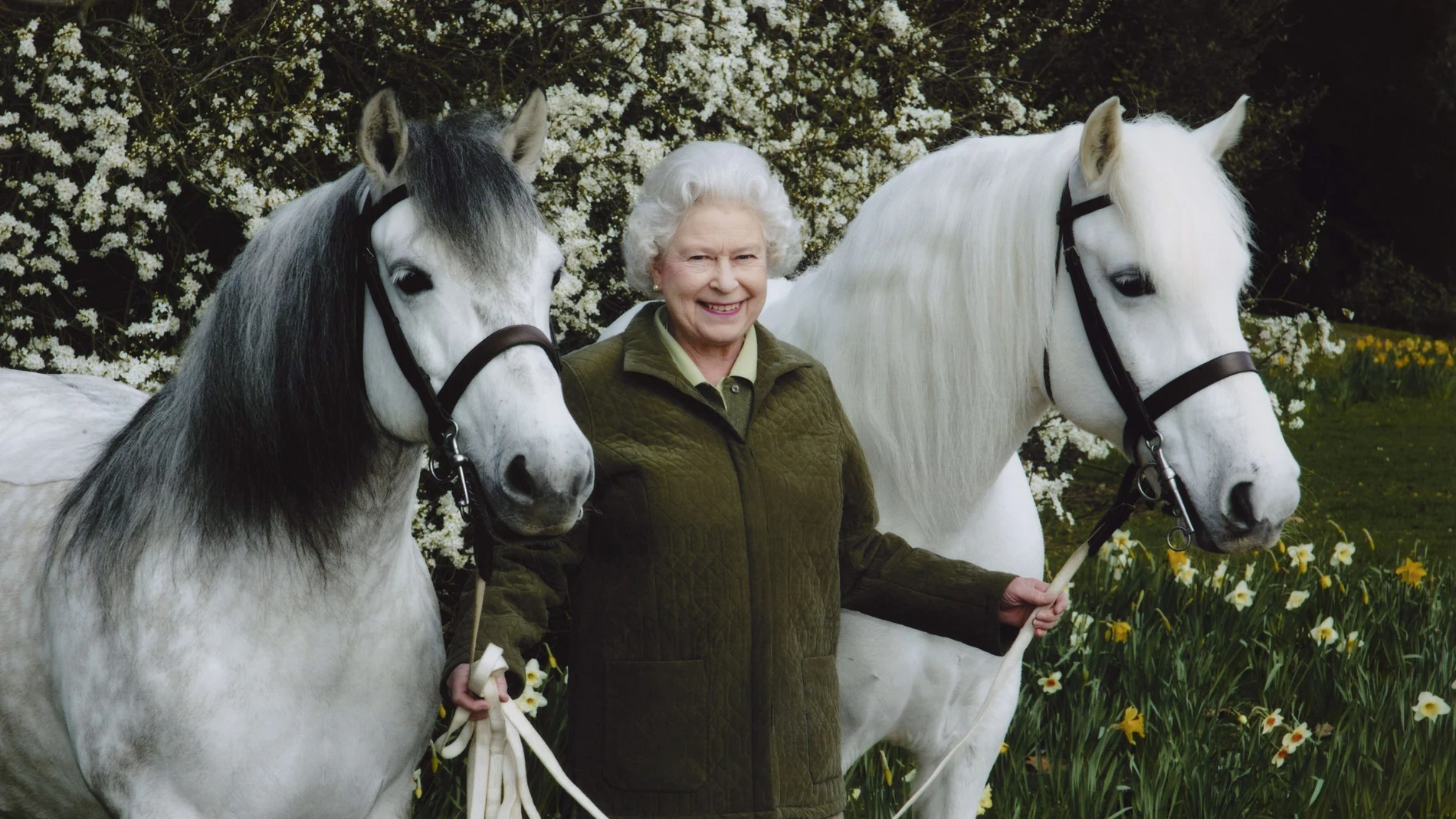 Fotografía facilitada por la Royal Collection realizada en 2006 de la Reina Isabel II con sus ponis de la raza Highlands.