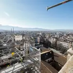 Operarios interviniendo y reparando los pináculos y zonas afectadas de la Catedral de Granada, tras los terremotos sucedidos a principios de año. Álex Cámara / Europa Press