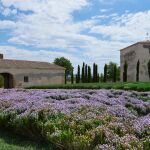 Bodegas y Viñedos La Mejorada en la localidad vallisoletana de Olmedo
