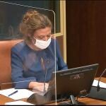 La consejera de Salud del Gobierno vasco, Gotzone Sagardui, en comisión parlamentaria