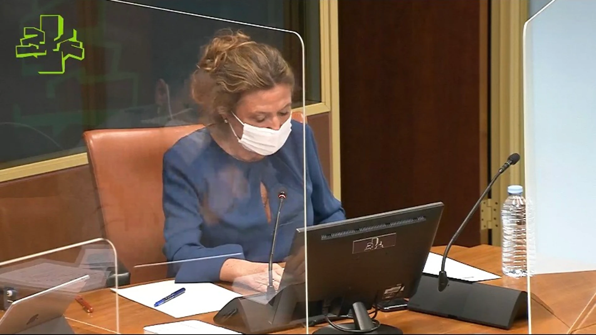 La consejera de Salud del Gobierno vasco, Gotzone Sagardui, en comisión parlamentaria