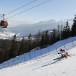 El austriaco Adrian Pertl en acción durante su segunda carrera en el eslalon masculino en Cortina d'Ampezzo. REUTERS/Denis Balibouse
