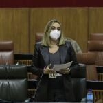 La consejera de Fomento y Vivienda, Marifrán Carazo, en una intervención parlamentaria