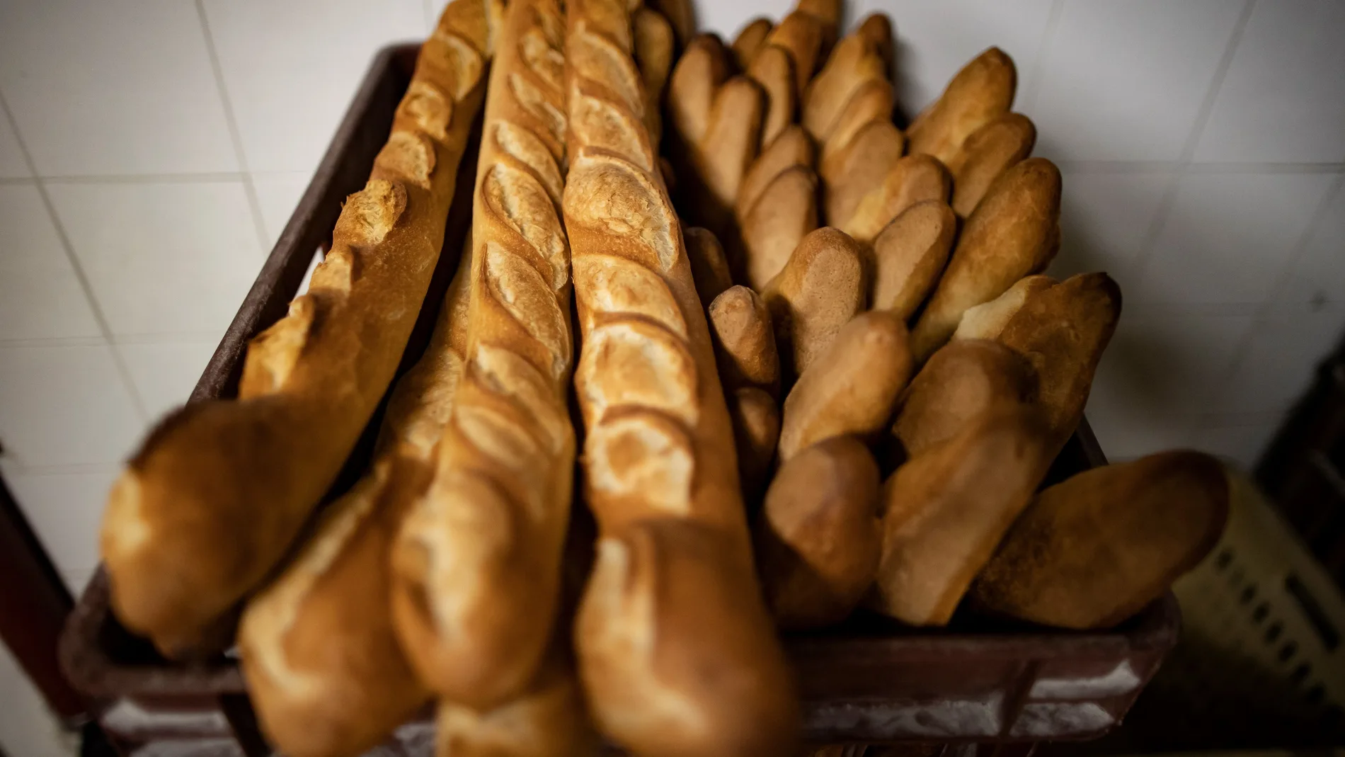 Las panaderías deberán reducir la cantidad de sal en el pan alrededor de un 20 por ciento
