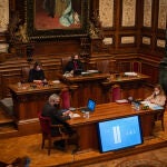 La alcaldesa de Barcelona, Ada Colau, se ha perdido el pleno de esta mañana a causa del covid
